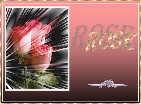 Rose