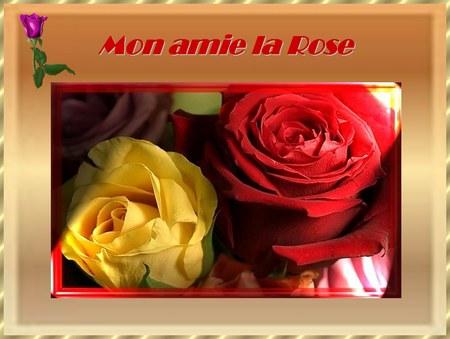 Mon amie la Rose